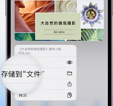 新罗apple维修中心分享iPhone文件应用中存储和找到下载文件