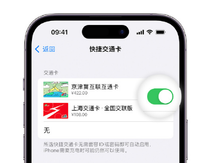 新罗apple维修点分享iPhone上更换Apple Pay快捷交通卡手绘卡面 