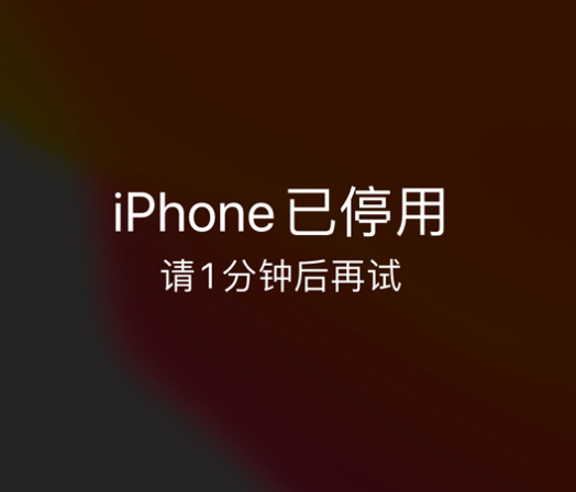 新罗苹果手机维修分享:iPhone 显示“不可用”或“已停用”怎么办？还能保留数据吗？ 