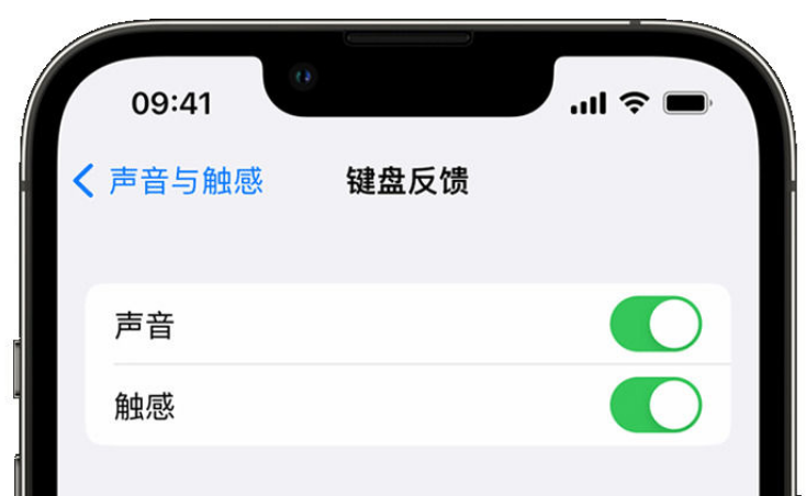 新罗苹果手机维修分享iPhone 14触感键盘使用方法 