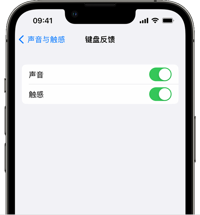 新罗苹果14维修店分享如何在 iPhone 14 机型中使用触感键盘 