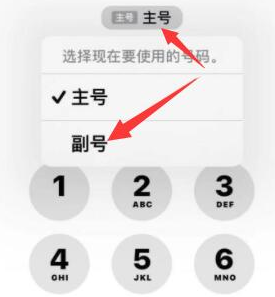 新罗苹果14维修店分享iPhone 14 Pro Max使用副卡打电话的方法 