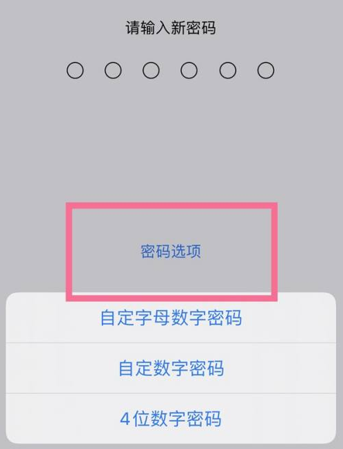 新罗苹果14维修分享iPhone 14plus设置密码的方法 