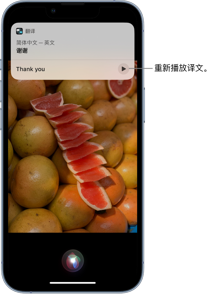 新罗苹果14维修分享 iPhone 14 机型中使用 Siri：了解 Siri 能帮你做什么 