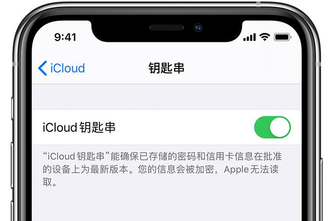新罗苹果手机维修分享在 iPhone 上开启 iCloud 钥匙串之后会储存哪些信息 