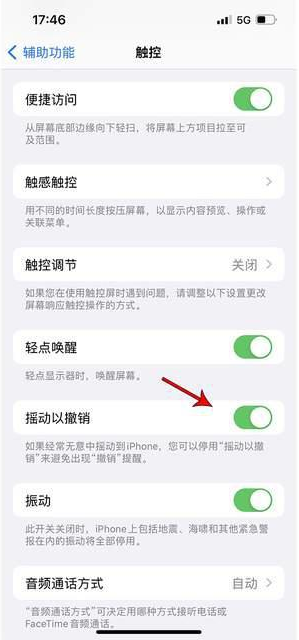 新罗苹果手机维修分享iPhone手机如何设置摇一摇删除文字 