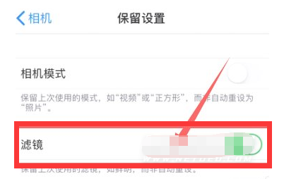 新罗苹果13维修分享iPhone13拍照有绿点是怎么回事 