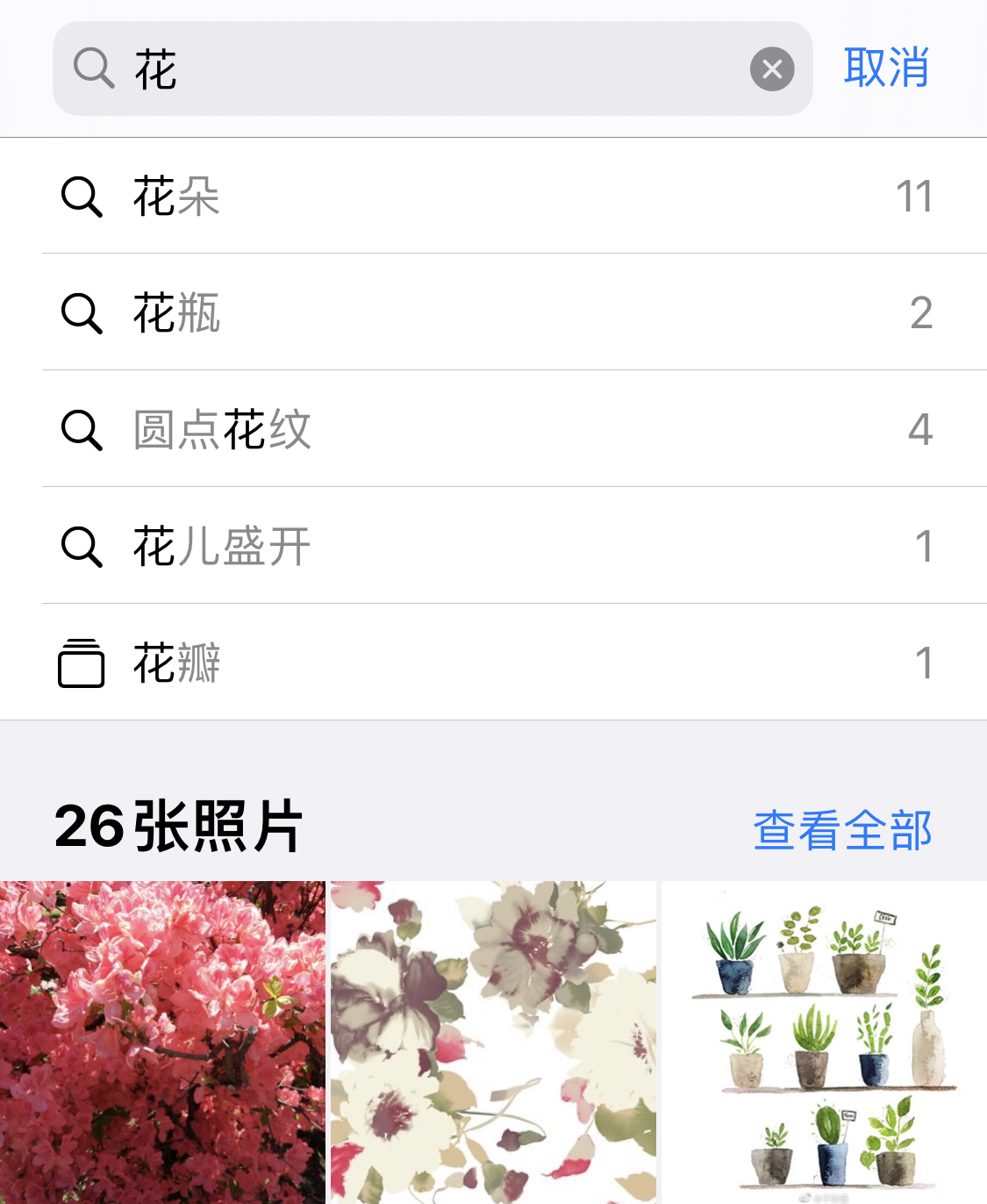新罗苹果手机维修分享iPhone 小技巧 