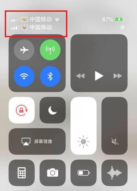 新罗苹果手机维修分享为 iPhone 12 双卡设置标签 