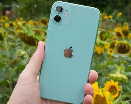 新罗苹果维修点分享iPhone 11锁屏密码认知与使用科普 