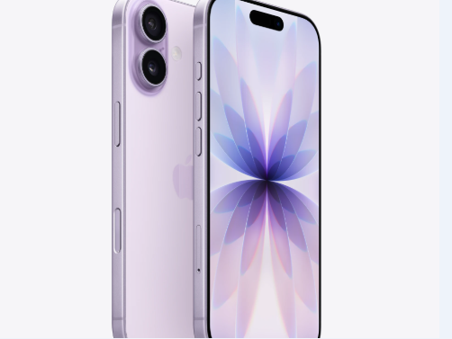 新罗苹果维修点分享iPhone 17锁屏密码使用参考 